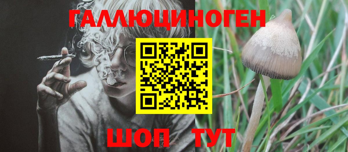 Галлюциногенные грибы мухоморы  Галлюциногенные грибы Psilocybine cubensis  что такое наркотик  Обь  Вход с VPN 